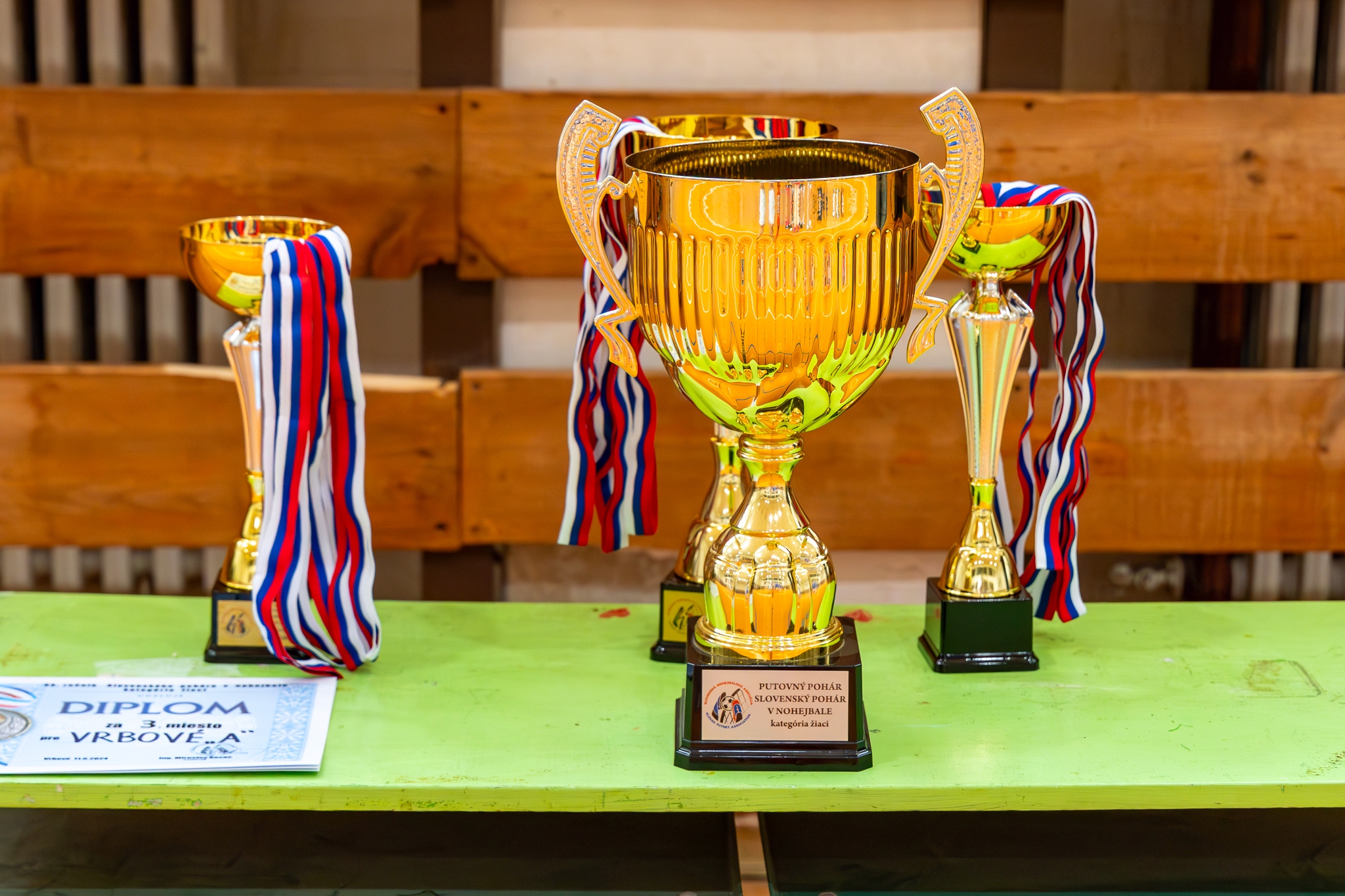 Slovenský pohár žiakov